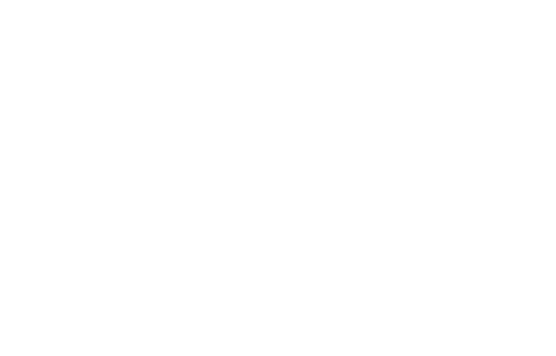 Punktastic logo